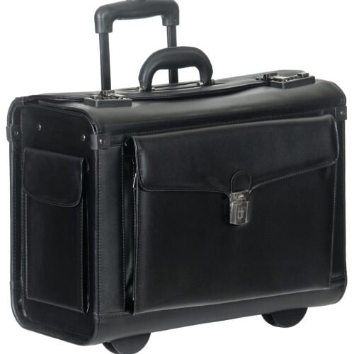 Mancini Business Catalog Case